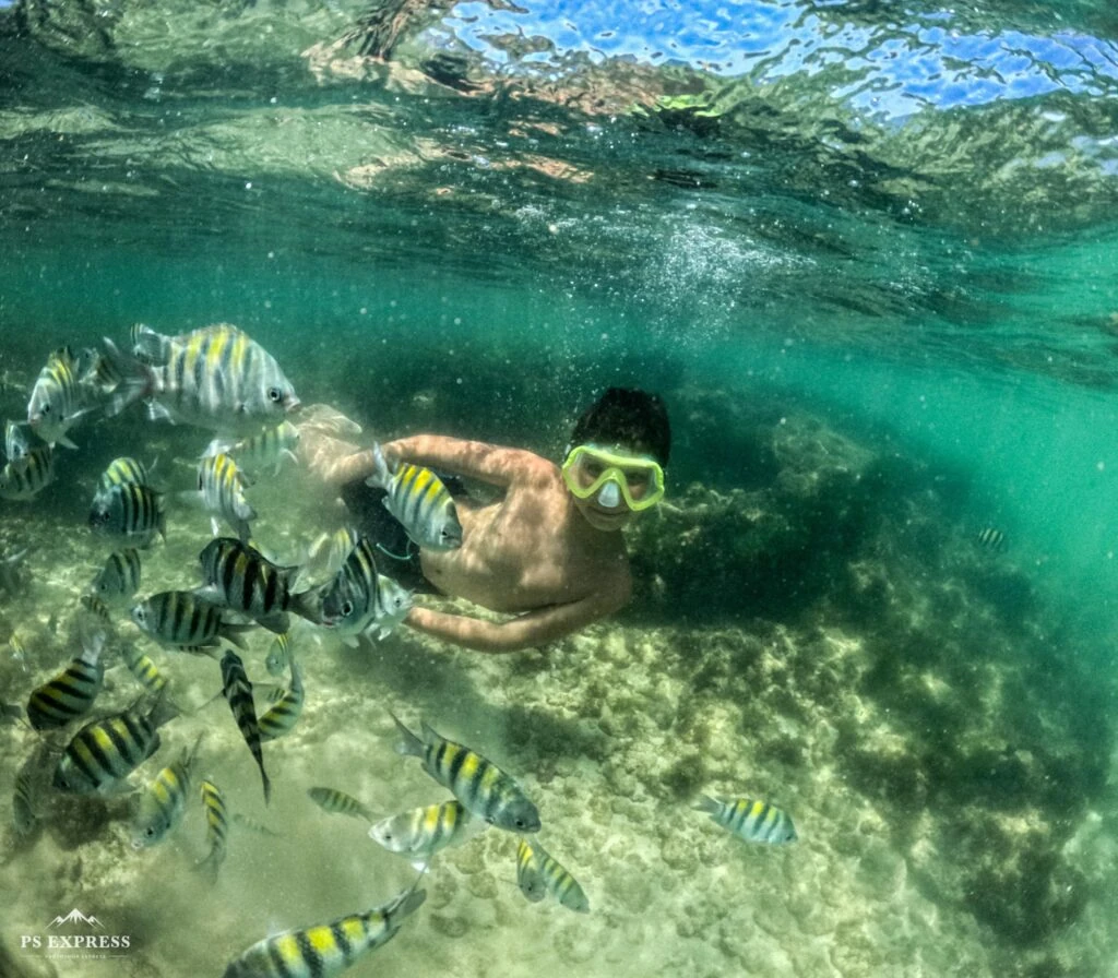 Snorkel e observação de peixes nas Piscinas Naturais do Seixas